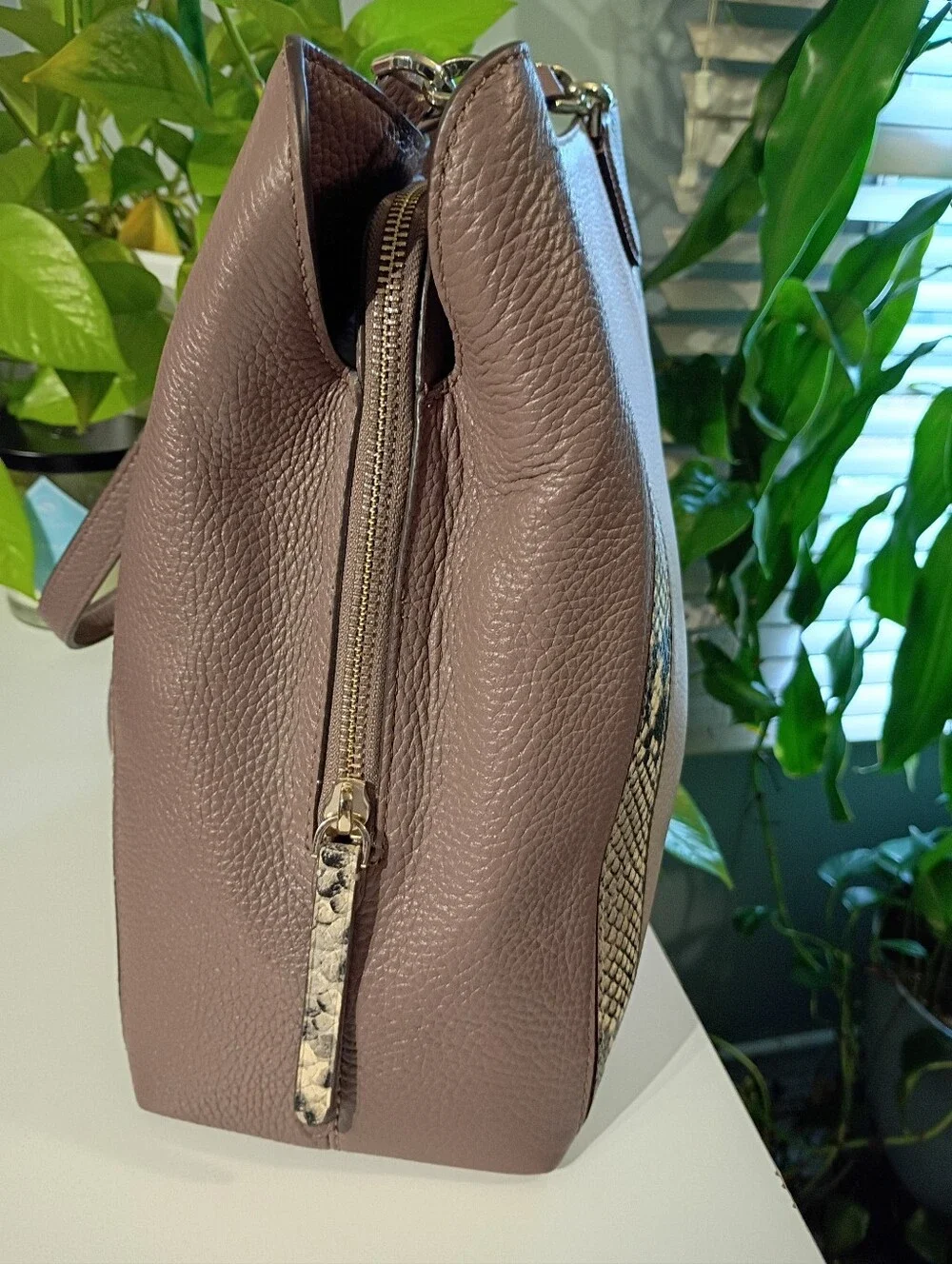 kate spade Taupe and Brown Tote with Snake-Print Trim